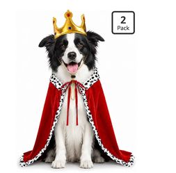 Dog Halloween Costumes f