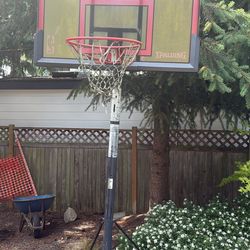 Basketball Hoop (Free)