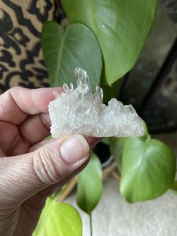 Clear Quartz Cluster 