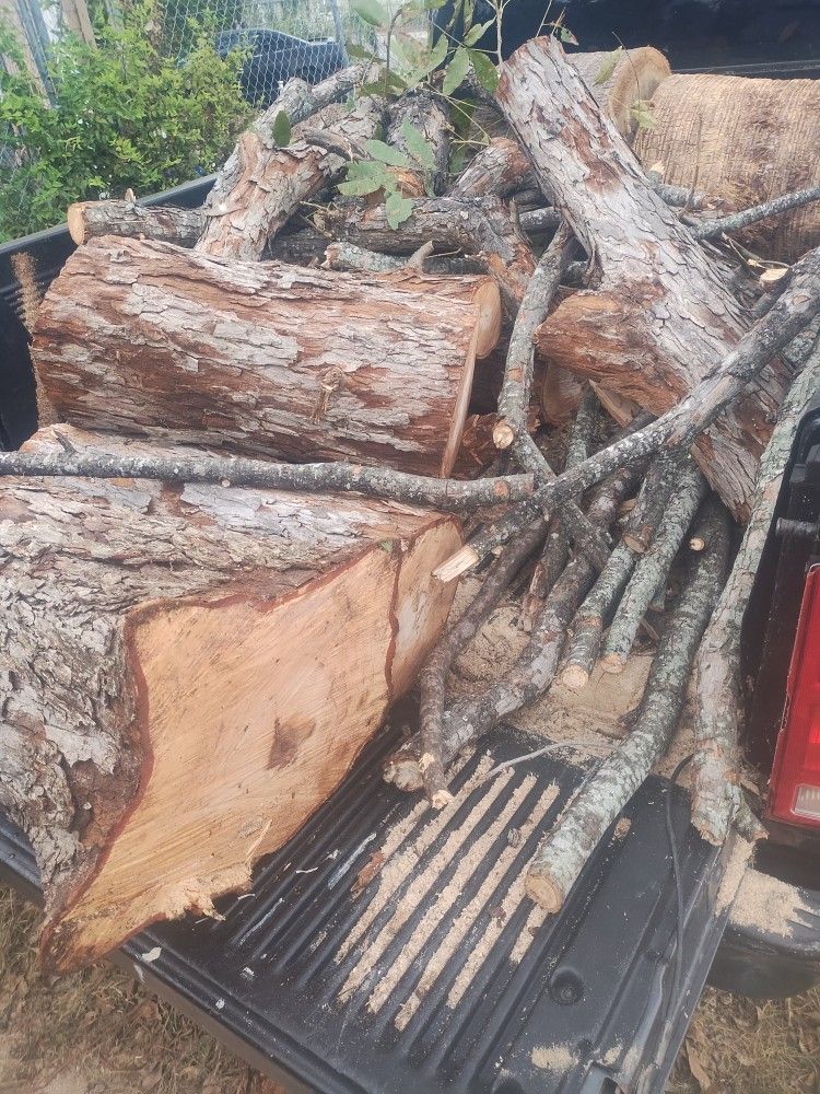 Free Pecan Wood If Anyone Wants To Pick Up