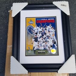 2005 World Series Champions Chicago White Sox 