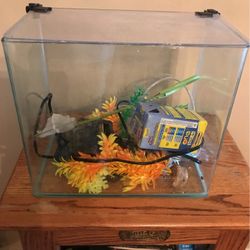 3 Gallon Aquarium With Filter And Decorations 