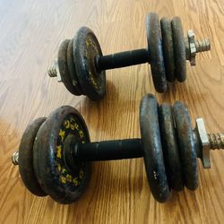 44 Lbs Dumbbells Gold’s Gym