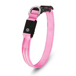 Led Light Dog Collar