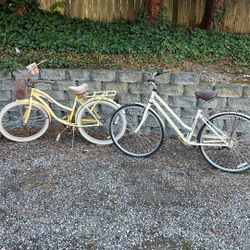 2 Project Bikes 