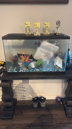 Fish Tanks And Extra Supplies