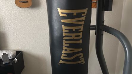 Everlast Boxing Rig
