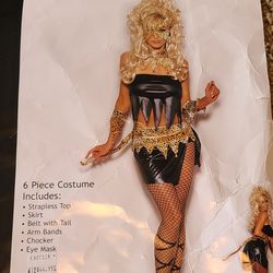Racy Leopard Costume Size L 6pc New