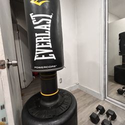 Everlast Standing Punching Bag