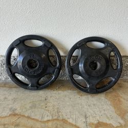 25lb Weight Plates (Pair)