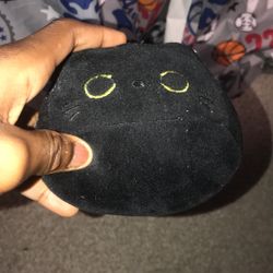 Black Plushie Cat
