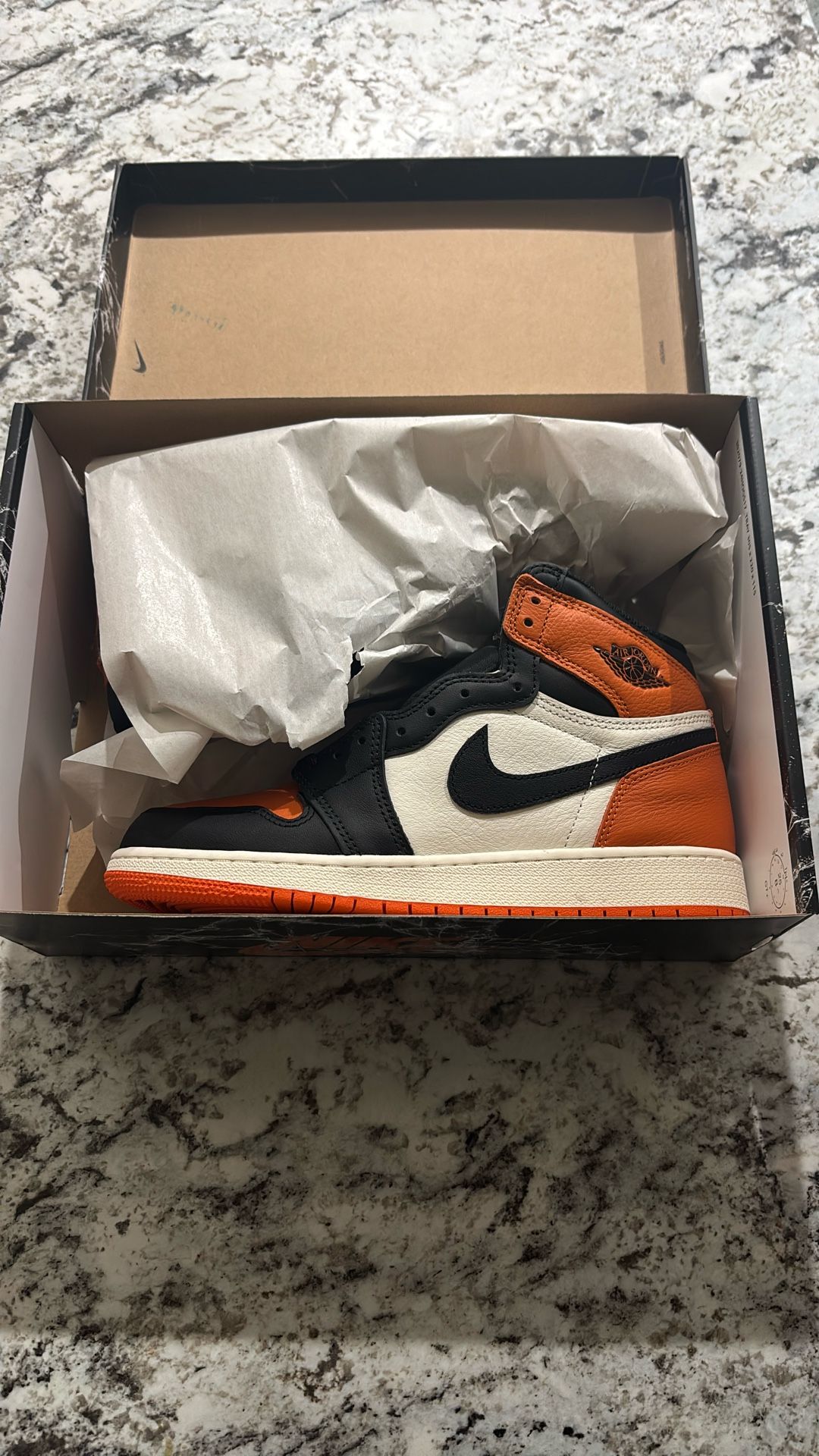 Jordan 1 S.B