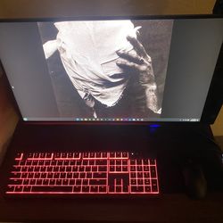 Monitor and Speakers  Setup