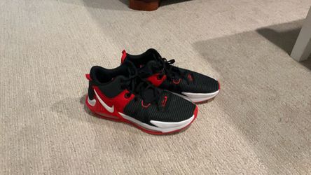 LeBron Witness Vll Size 13 Men’s Basketball Shoes