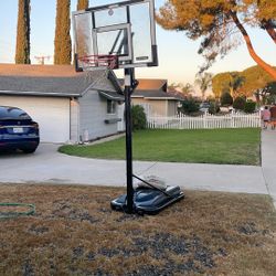 Lifetime Adjustable Basketball Hoop