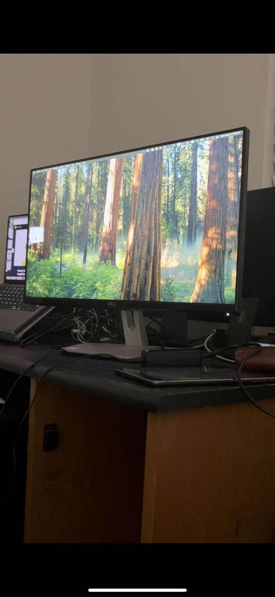 dell monitor size 24” modle :S2319nc With HDMI