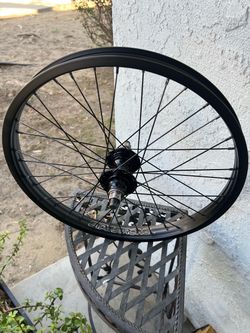 Stay Strong Soho 20" Cassette Wheel