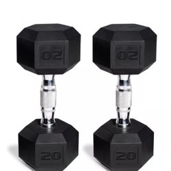 20 LBS Hex-rubber Heavy-duty Dumbells 