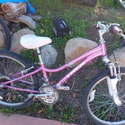 Trek Girls Bycycle   For Sale
