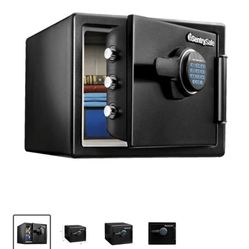 Sentry Safe 