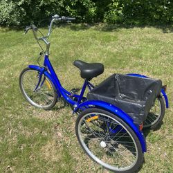 Adult tricycle 