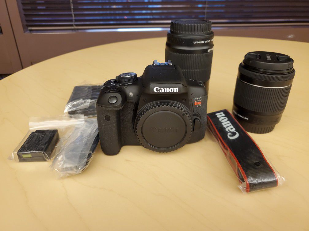 Canon Rebel T6i kit / 18-55mm stm / 55-250 stm lenses