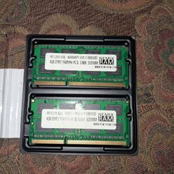 two modules of NEMIX RAM 4GB 