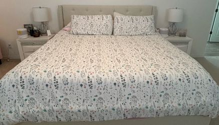 King Duvet Cover and 2 king Shams $40