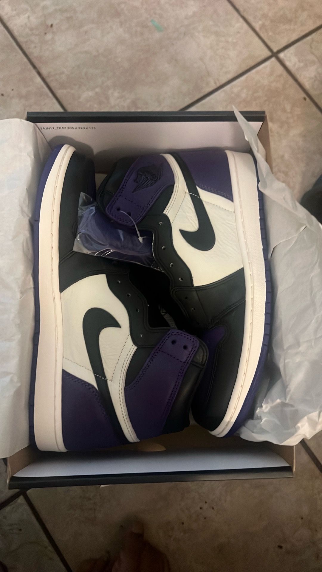 Jordan Retro 1 Court Purple Brand New DS