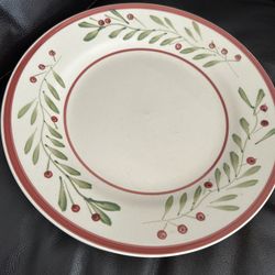 6 Dinner Plates