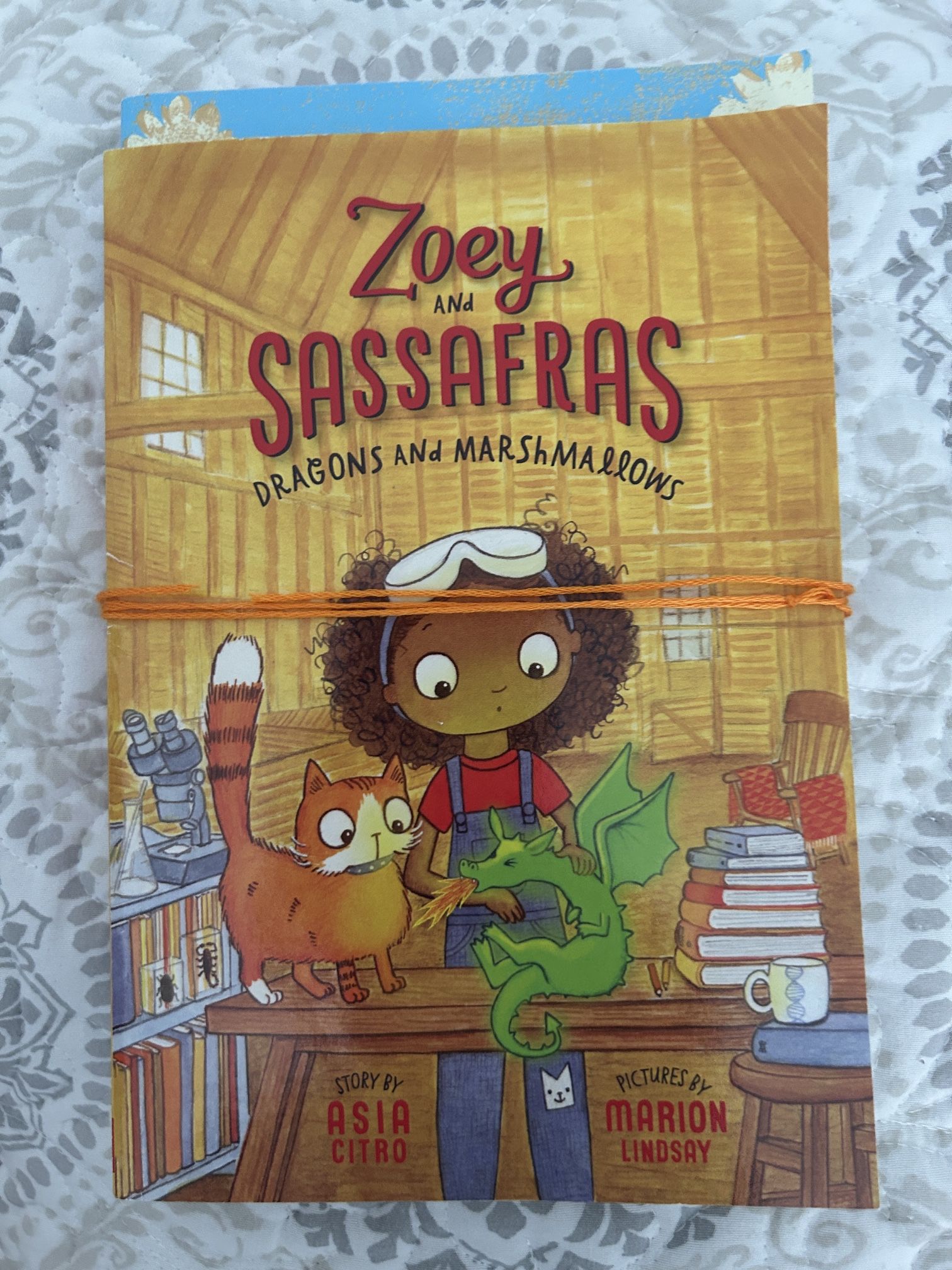Book Bundle