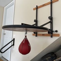 Speed Bag And Adjustable Mount