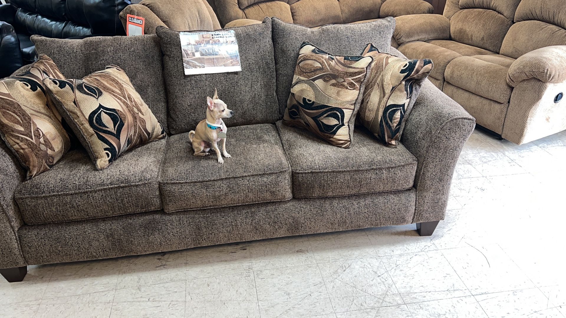 Couches for 699 brand new