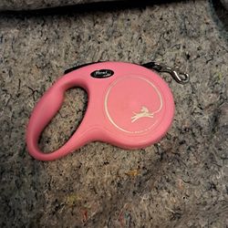 FLEXI Retractable Dog Leash Works Great=10$