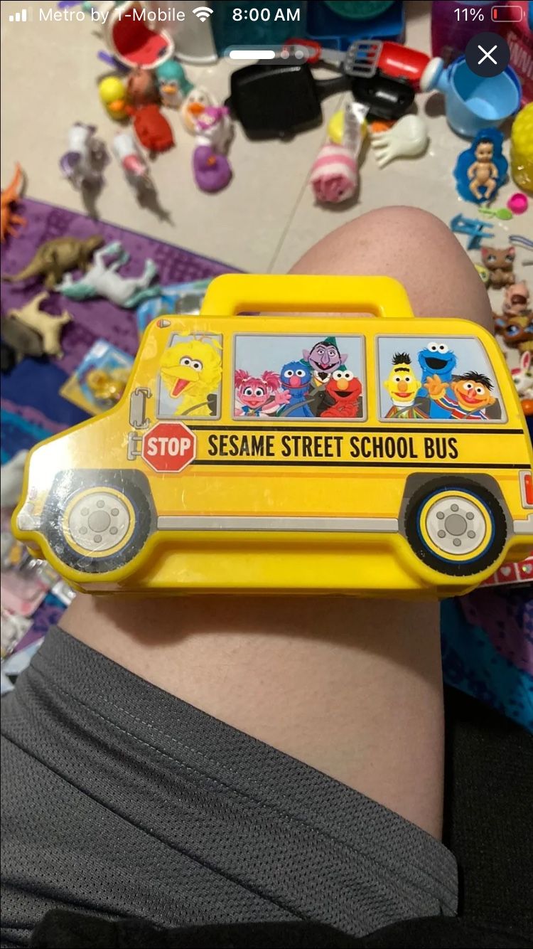Sesame Street Case