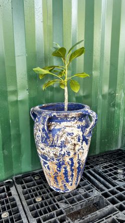 Indigo blue clay Pot 