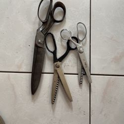 Taylor Scissors 