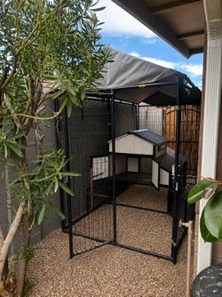 Chicken Coop & Run