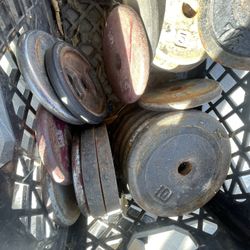 Weights , Shoot Any Offers 