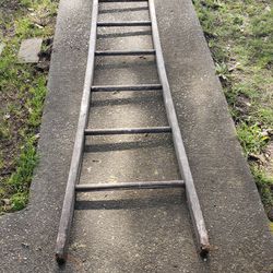 12ft Fixed Wooden Ladder