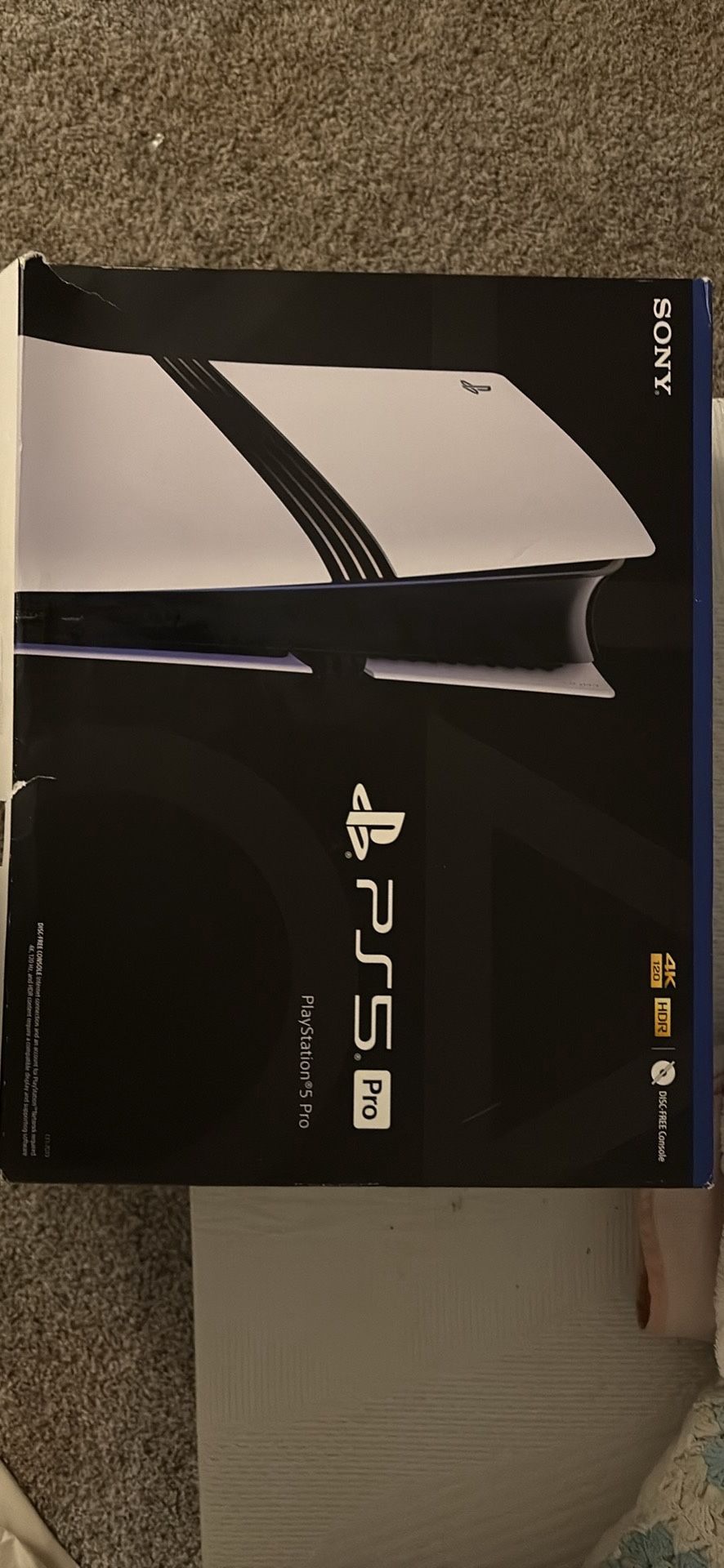 pS5 Pro
