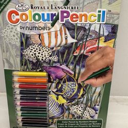 Coloring Book And Mini Pencils $1