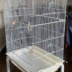 White Bird Cage With Stand 