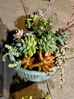 New ceramic 14x16” succulent planter