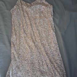 Sequin Dress