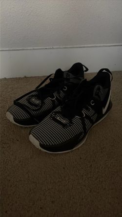 WITNESS VII HO 22 LEBRONS