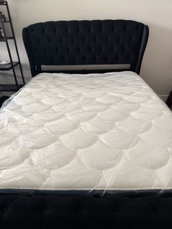 Queen Black Velvet Bed Frame + Mattress – $700