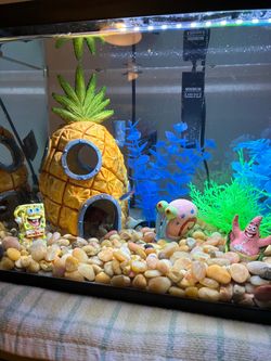 5 gallon fish tank w/decor, heater, etc.