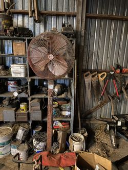 Shop Fan