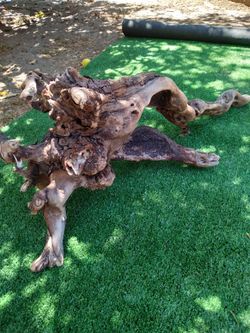 Driftwood For Aquariums Terrariums Decor